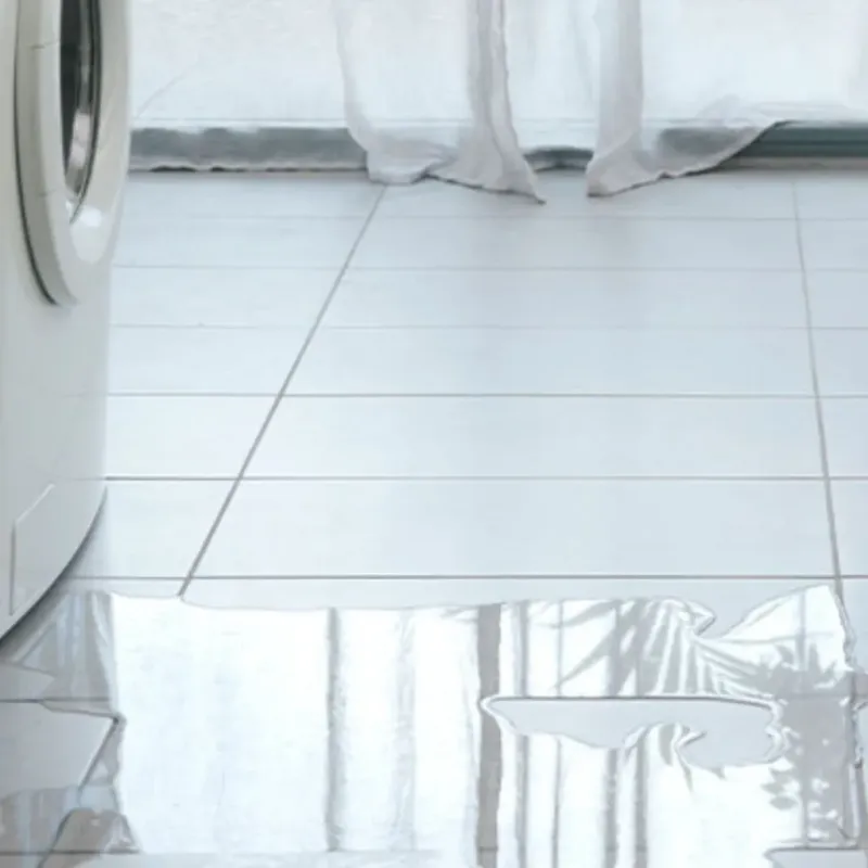 Appliance Leak Cleanup in Hempstead, TX