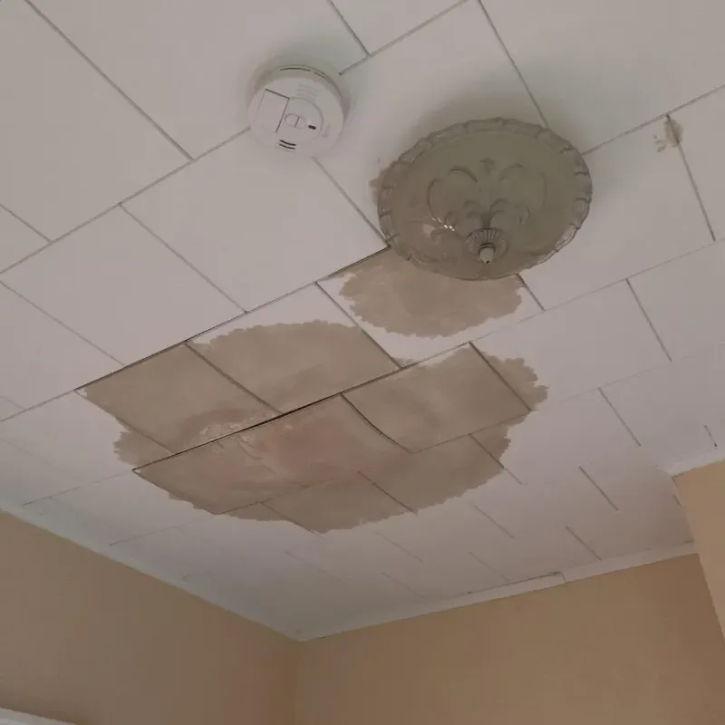 Ceiling Water Damage Repair in Hempstead, TX