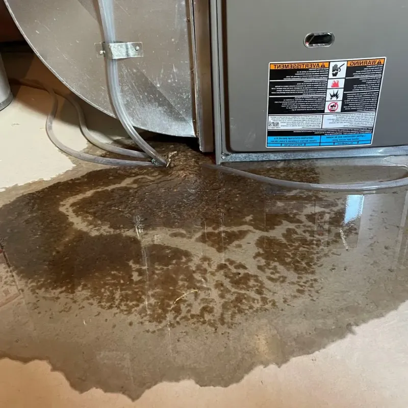 Pipe Burst and Leak Restoration in Hempstead, TX