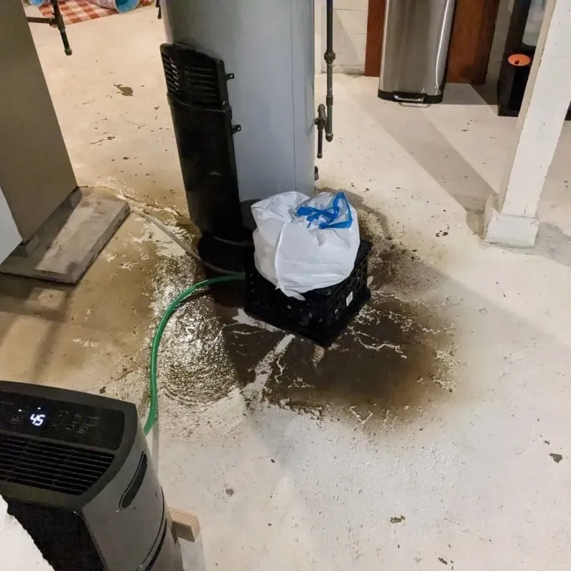 Sewage Backup Cleanup Service in Hempstead, TX